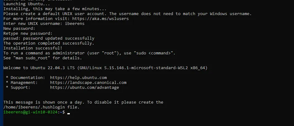 WSL after boot job